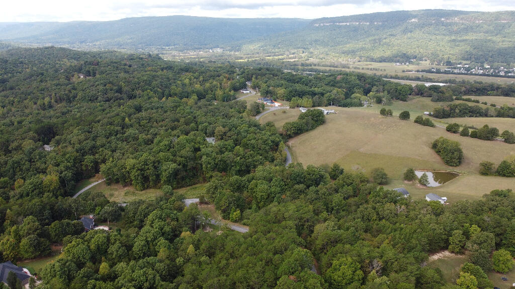 1 Countryside Drive Dunlap, TN 37327 - Photo 5 of 9 04