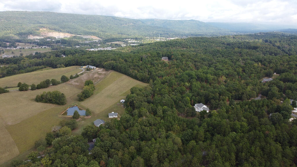 1 Countryside Drive Dunlap, TN 37327 - Photo 7 of 9 06