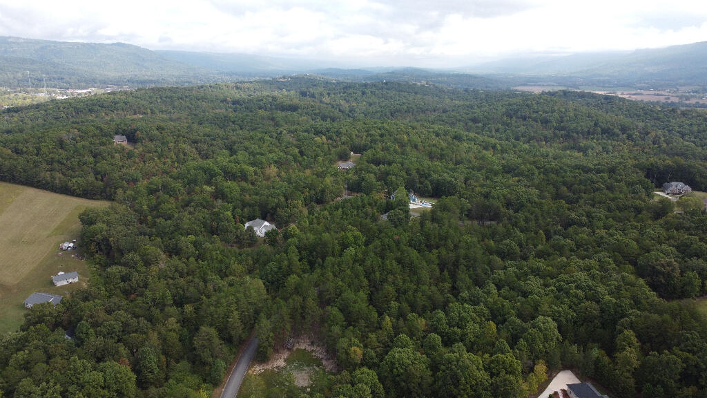 1 Countryside Drive Dunlap, TN 37327 - Photo 8 of 9 07