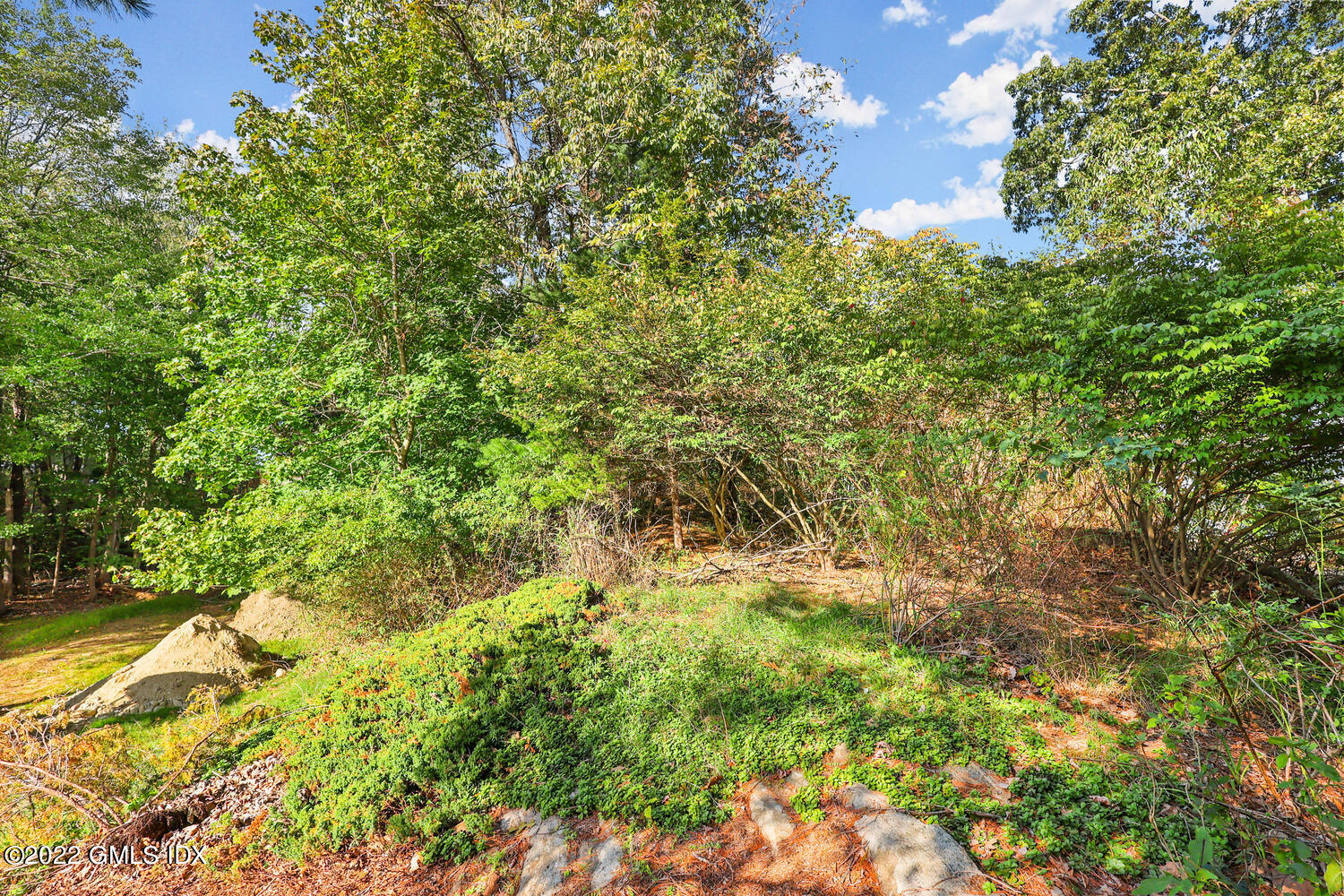 0 Florence Road Riverside, CT 06878 - Photo 2 of 11 a view of a big yard with plants and large trees