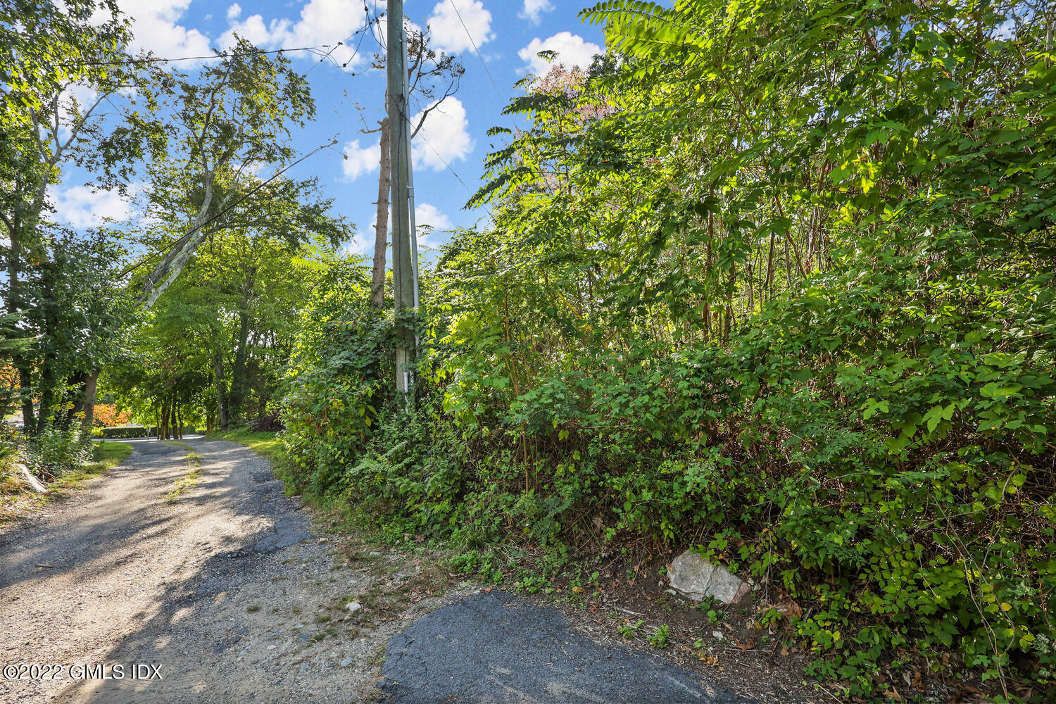 0 Florence Road Riverside, CT 06878 - Photo 3 of 11 a view of a yard with plants and trees
