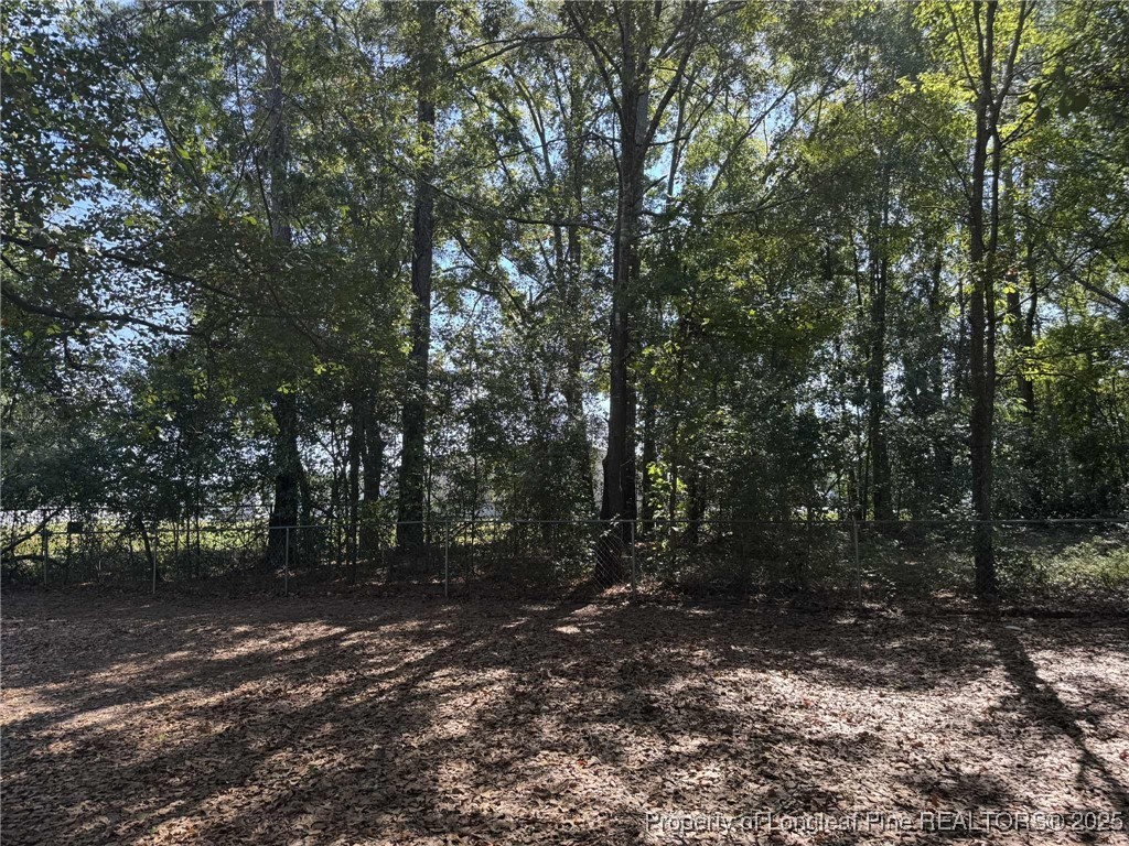 212 Grummen Road Hope Mills, NC 28348 - Photo 13 of 14 a view of outdoor space and yard