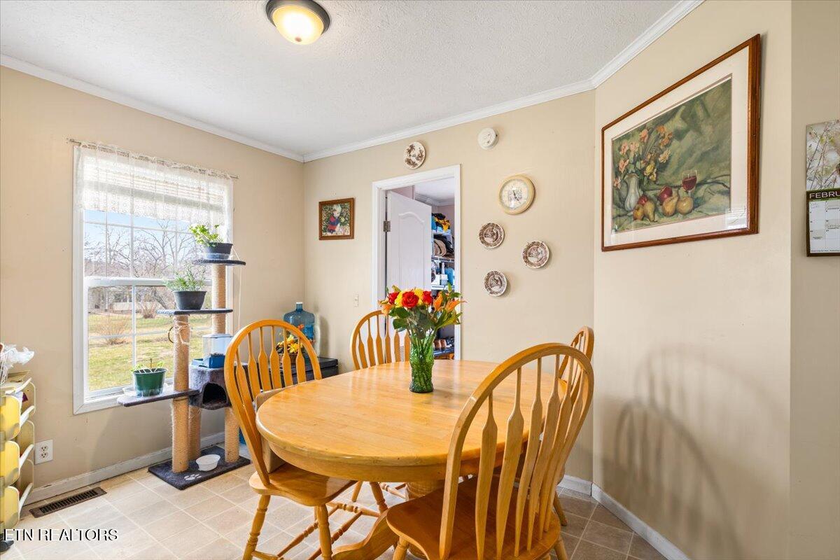 2940 Grave Hill Road Oneida, TN 37841 - Photo 12 of 41 18-2940 Grave Hill Rd