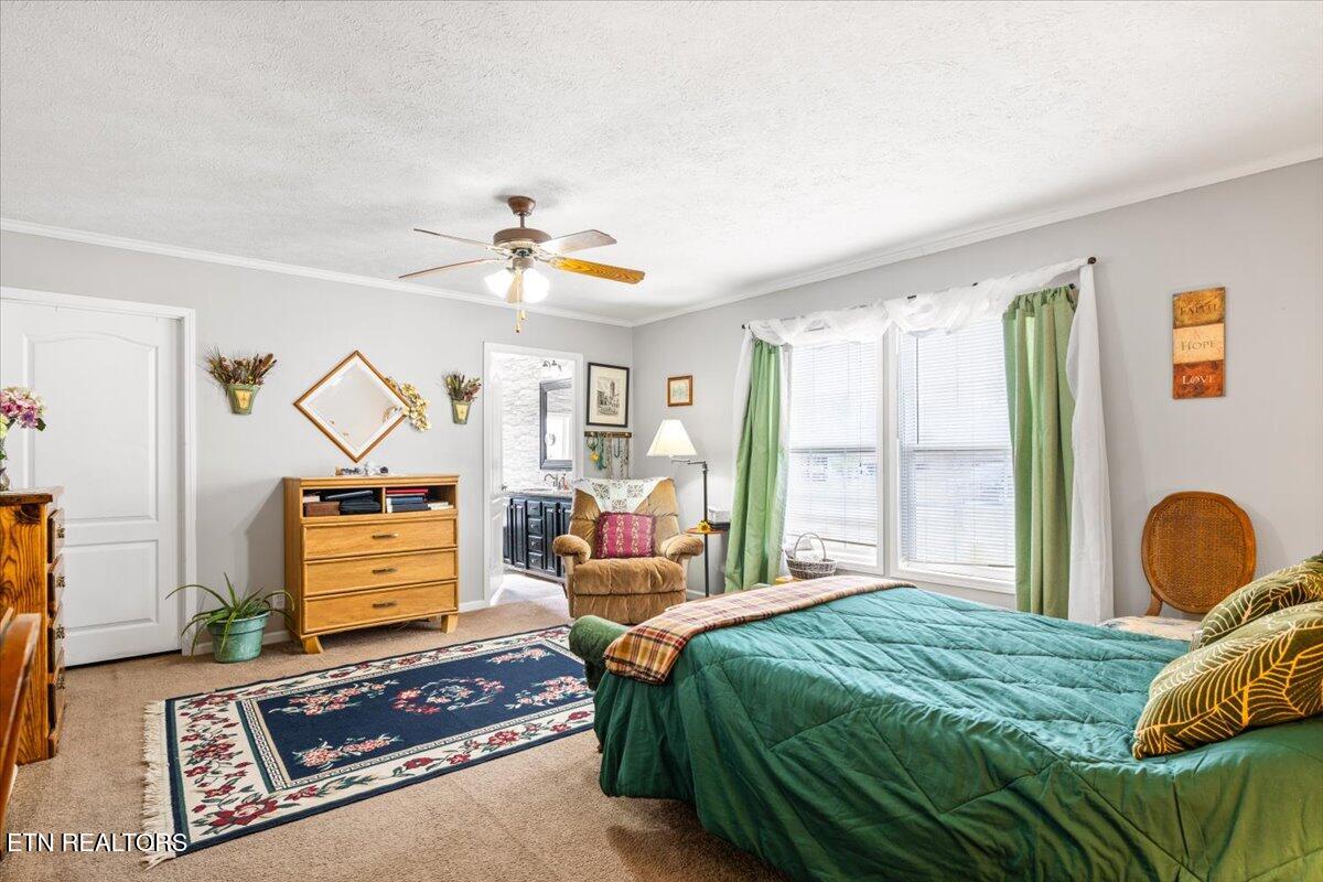 2940 Grave Hill Road Oneida, TN 37841 - Photo 13 of 41 20-2940 Grave Hill Rd