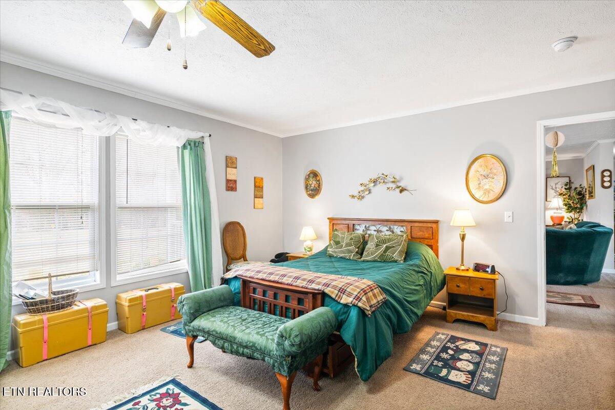 2940 Grave Hill Road Oneida, TN 37841 - Photo 14 of 41 21-2940 Grave Hill Rd