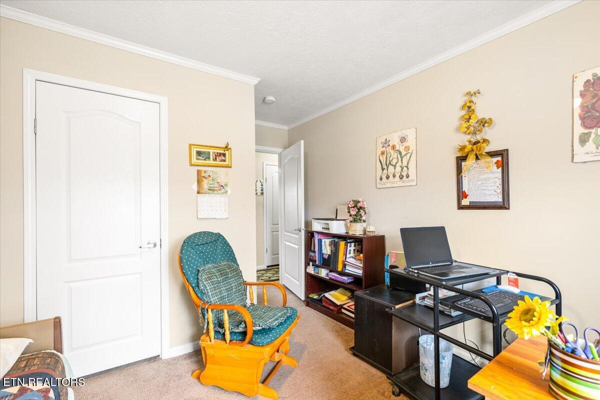 2940 Grave Hill Road Oneida, TN 37841 - Photo 21 of 41 31-2940 Grave Hill Rd