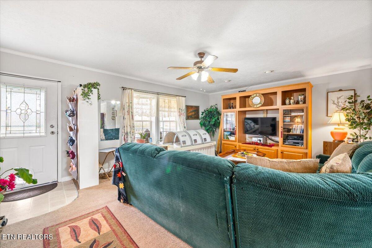 2940 Grave Hill Road Oneida, TN 37841 - Photo 7 of 41 09-2940 Grave Hill Rd