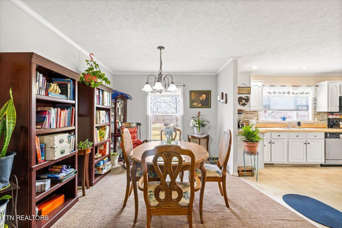 2940 Grave Hill Road Oneida, TN 37841 - Photo 8 of 41 11-2940 Grave Hill Rd