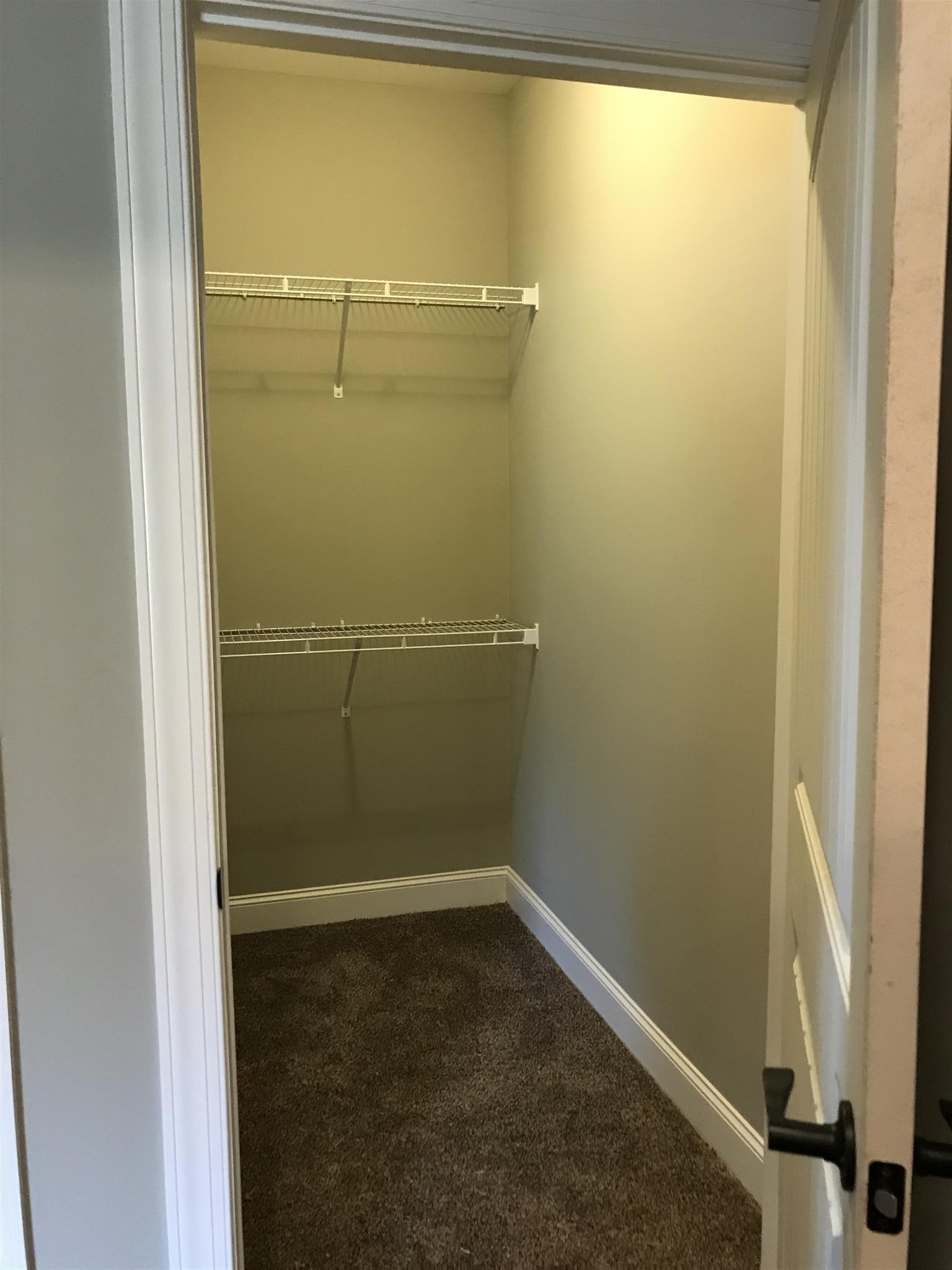 3880 Linwood Road Watertown, TN 37184 - Photo 16 of 19 extra storage closet in basement bonus room