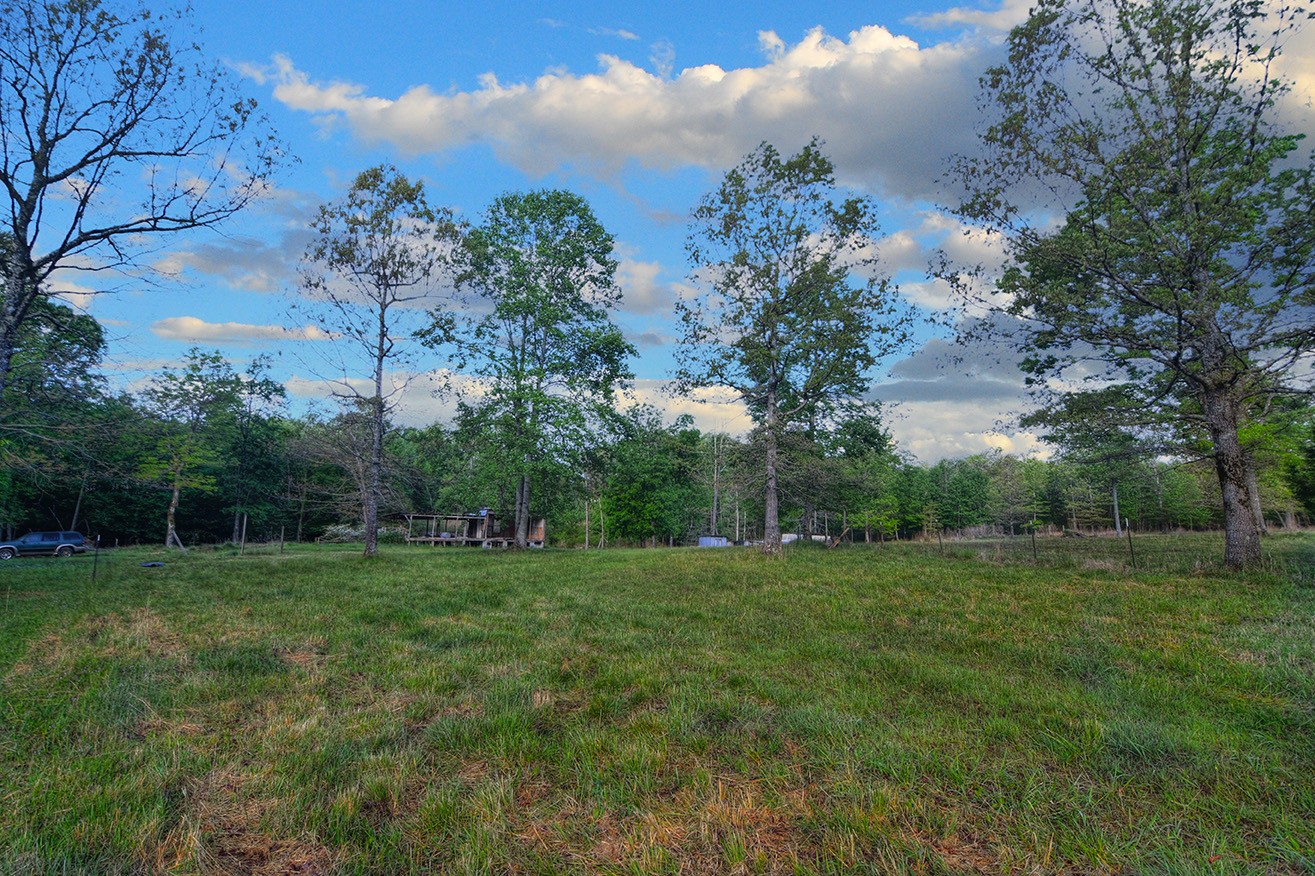 607 Monteagle Falls Road Monteagle, TN 37356 - Photo 2 of 14 a view of a grassy field with trees in the background