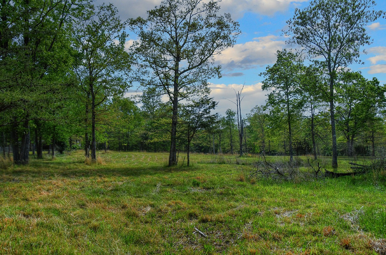607 Monteagle Falls Road Monteagle, TN 37356 - Photo 4 of 14 a view of outdoor space with green field and trees