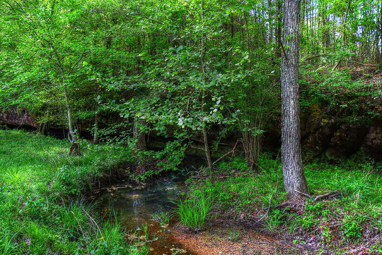 607 Monteagle Falls Road Monteagle, TN 37356 - Photo 6 of 14 a view of backyard with green space
