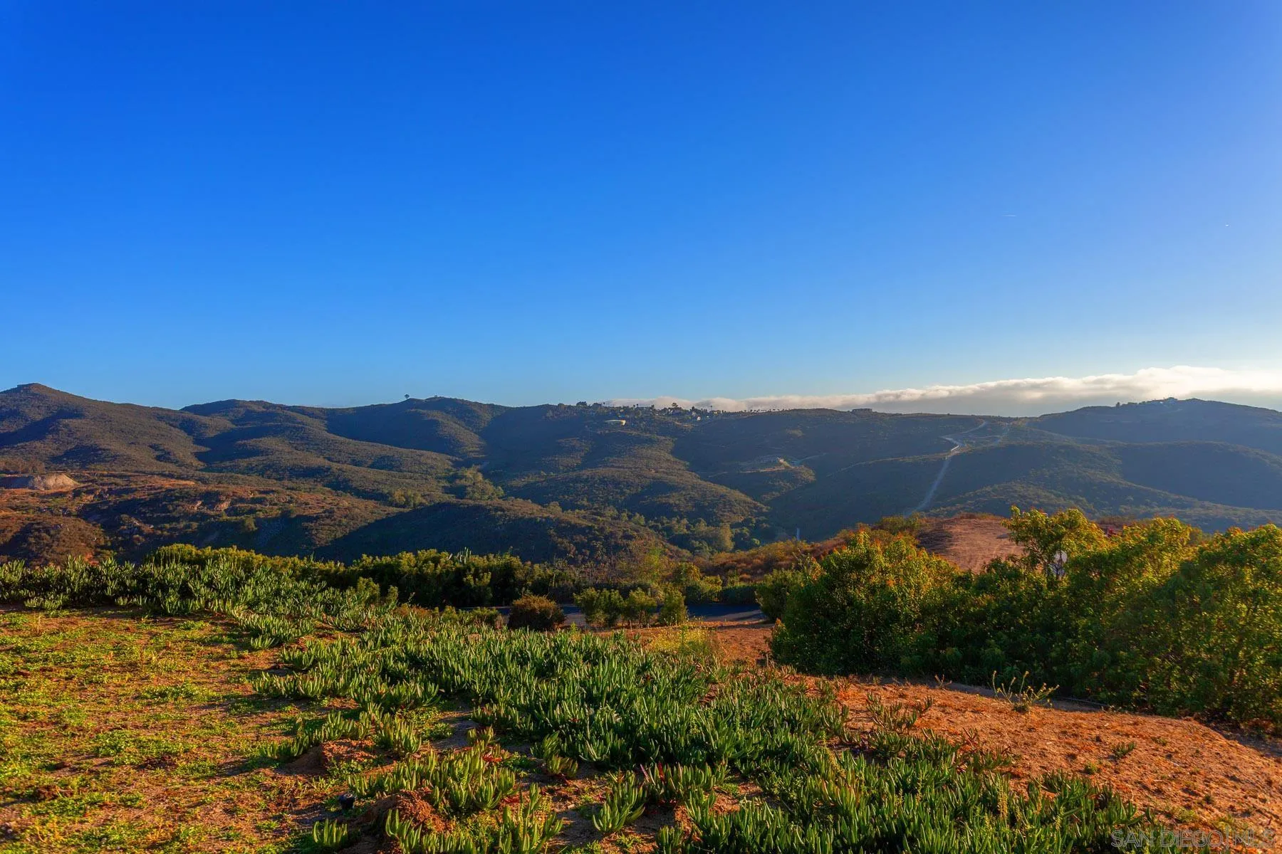 29314 Twin Oaks Valley Road Vista, CA 92084 - Photo 67 of 74