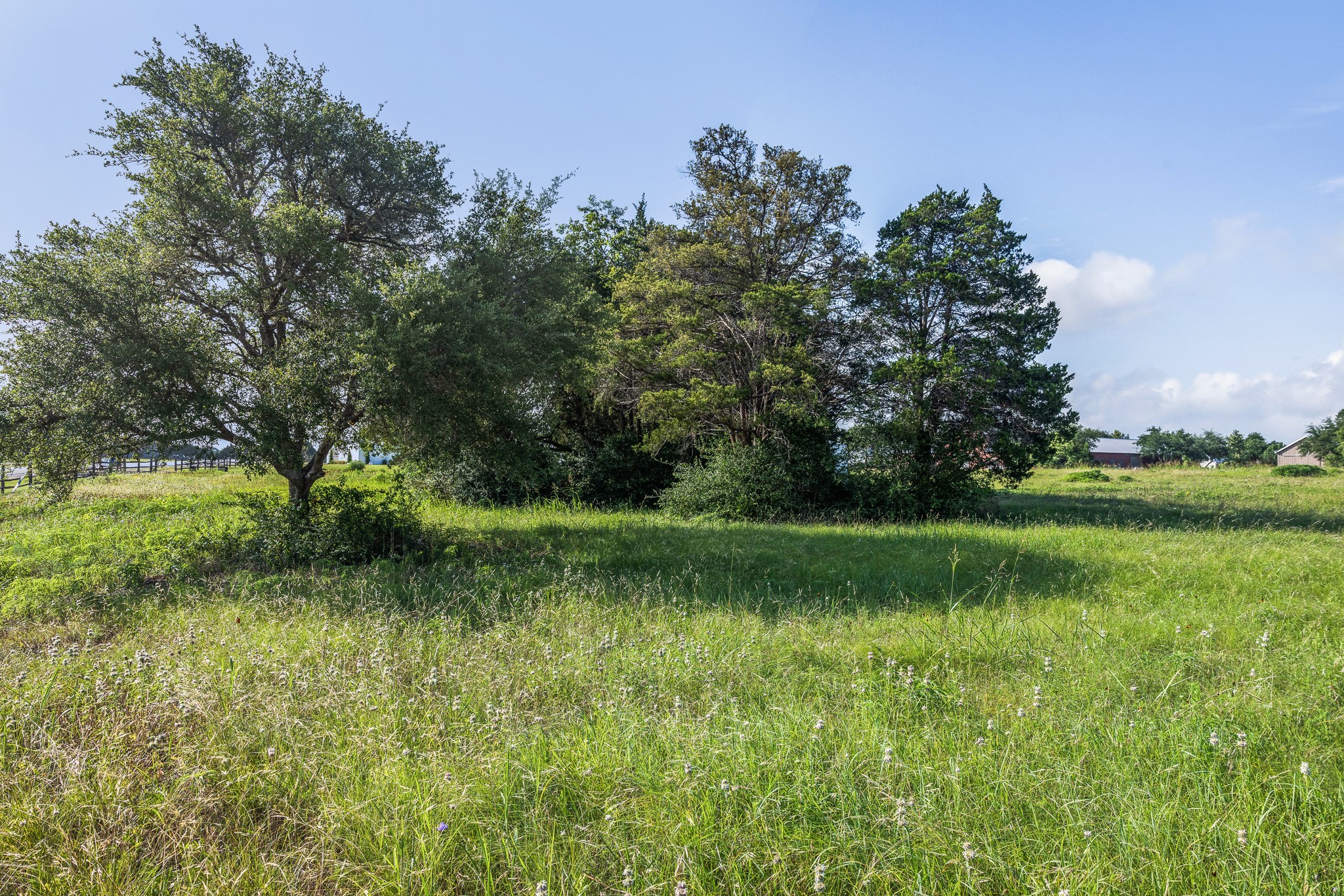 109 Compound Lane Round Top, TX 78954 - Photo 7 of 20