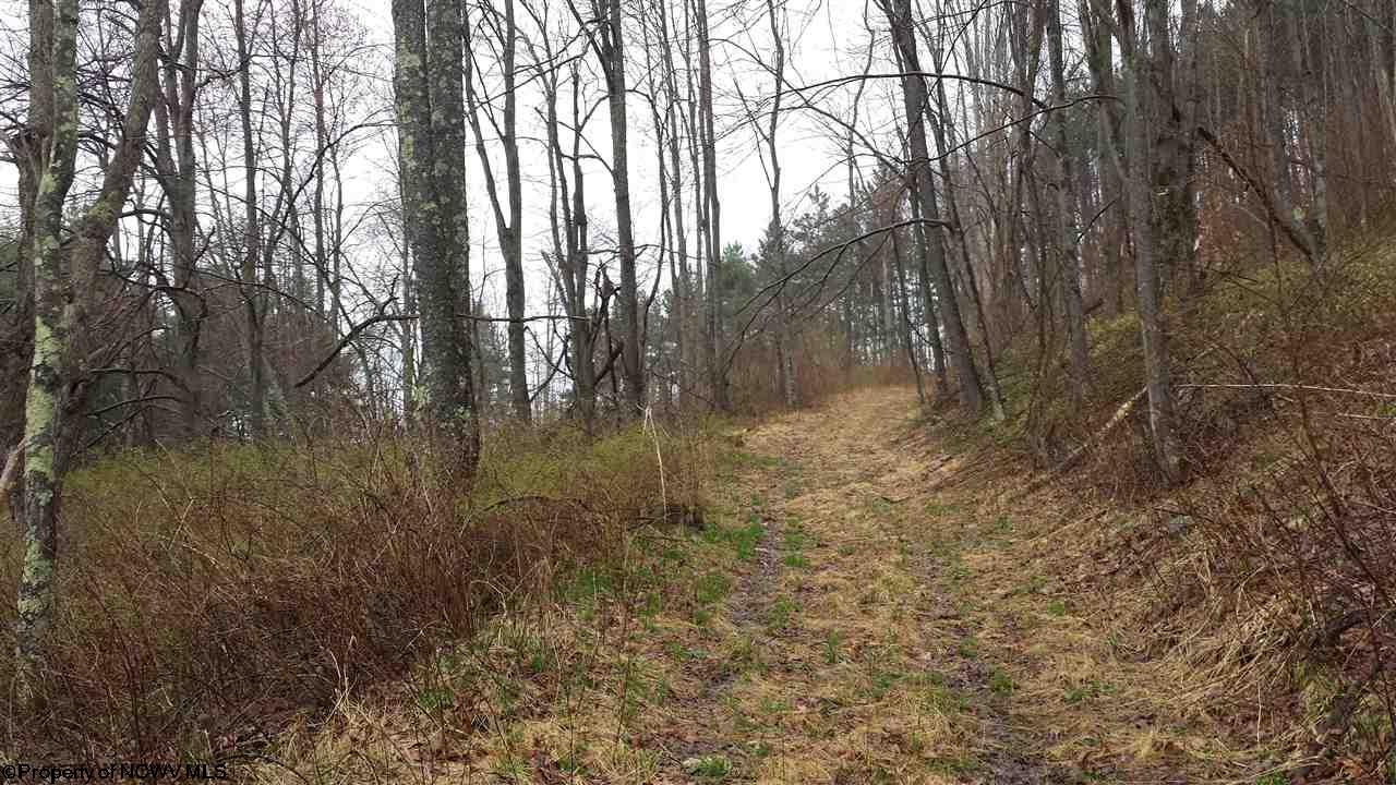 Salt Lick Road Terra Alta, WV 26764 - Photo 12 of 19 Gallery Image 12