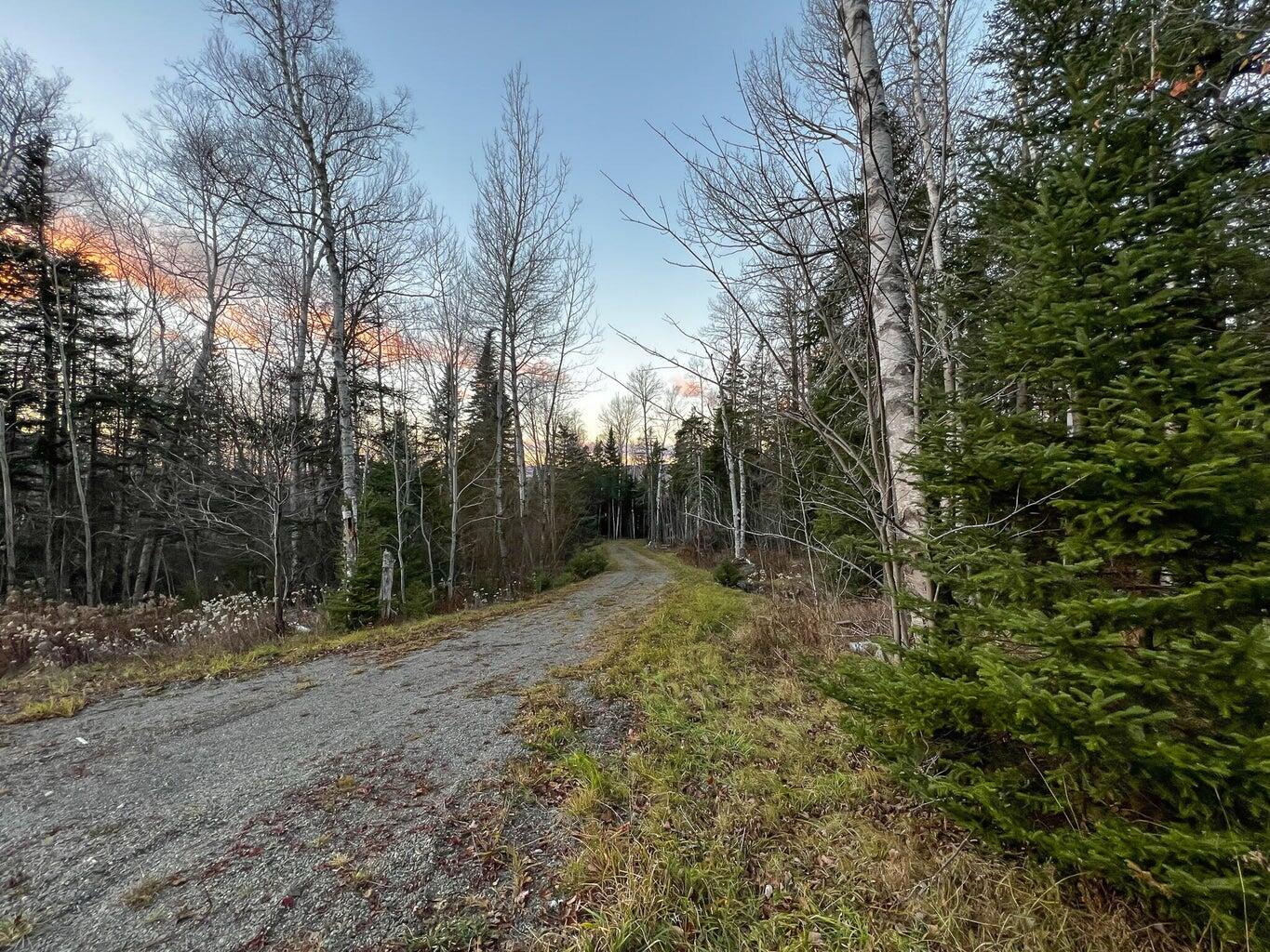 Lot 16 Mill Brook Road Sandy River Plt, ME 04970 - Photo 7 of 44