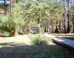 35165 Donny Road Pearl River, LA 70452 - Photo 5 of 8 Gallery Image 5