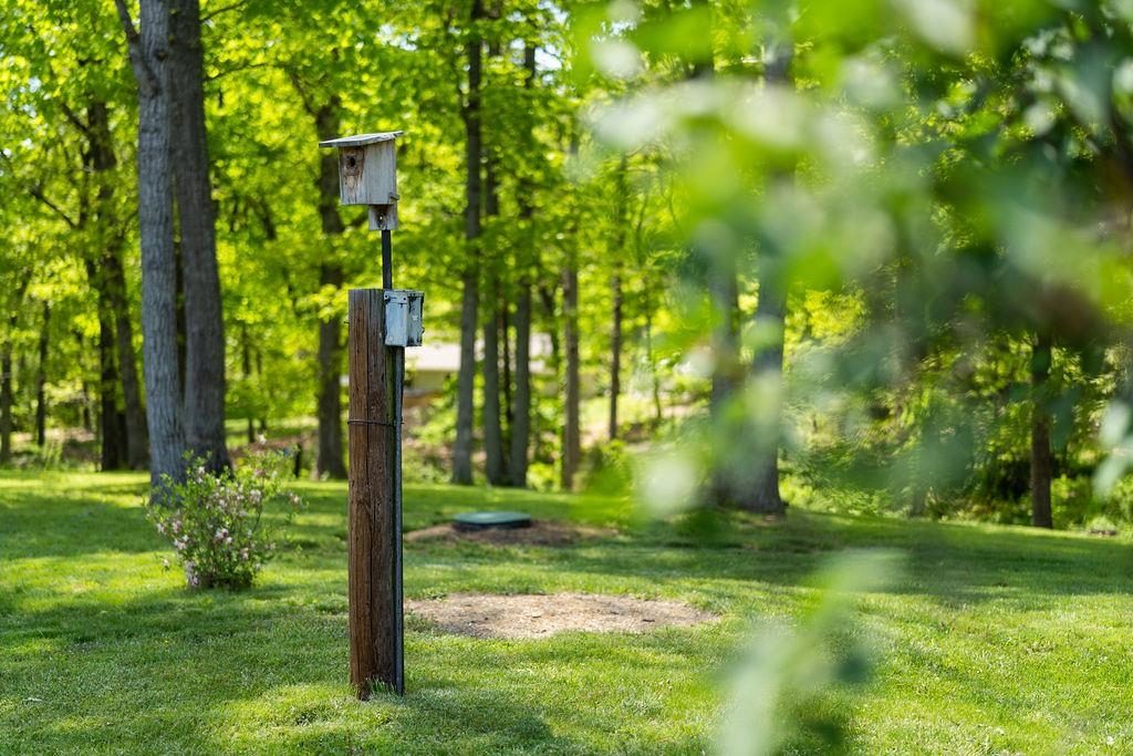389 Jericho Road Fishersville, VA 22939 - Photo 69 of 75