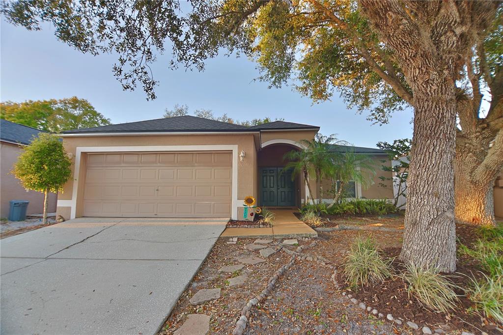 24809 Ravello Street Land O Lakes, FL 34639 - Photo 2 of 13