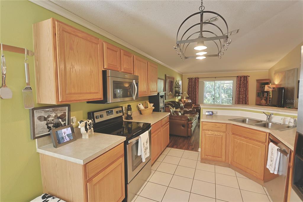 24809 Ravello Street Land O Lakes, FL 34639 - Photo 6 of 13