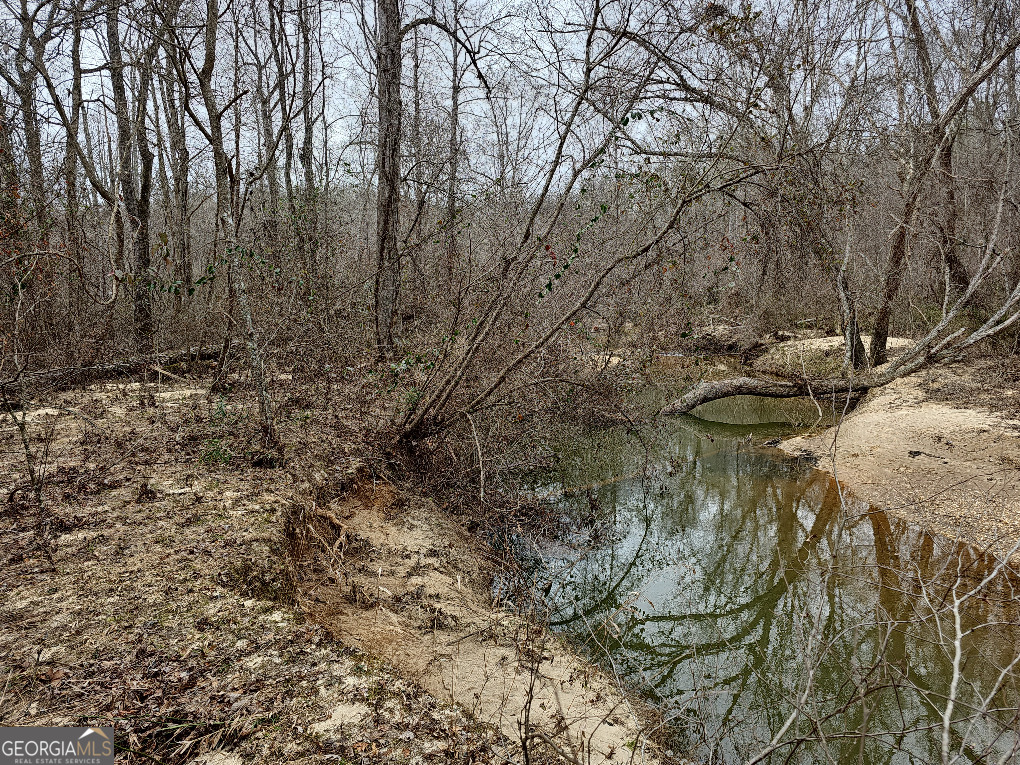 0 Hutcheson Rd Off Temple, GA 30179 - Photo 11 of 45