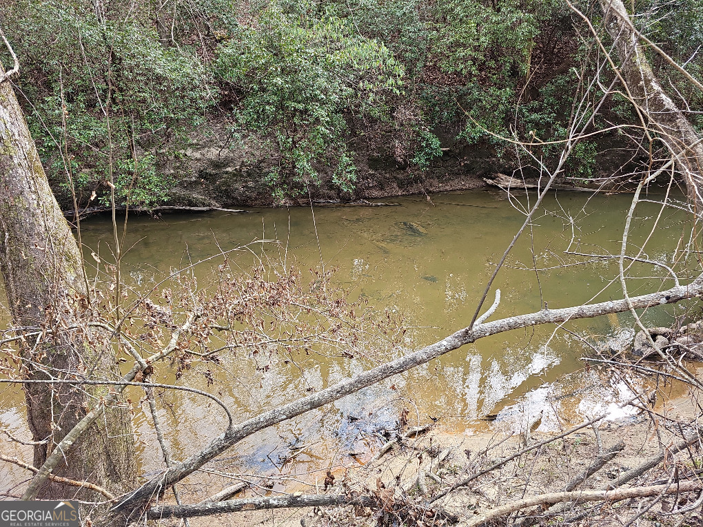 0 Hutcheson Rd Off Temple, GA 30179 - Photo 12 of 45