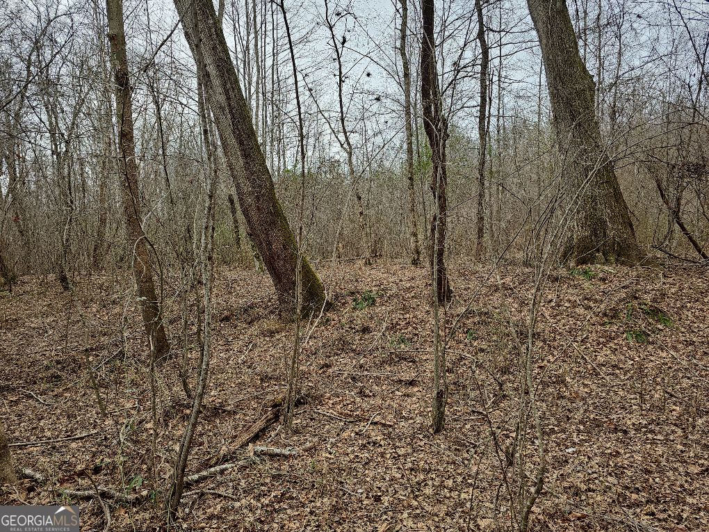 0 Hutcheson Rd Off Temple, GA 30179 - Photo 13 of 45