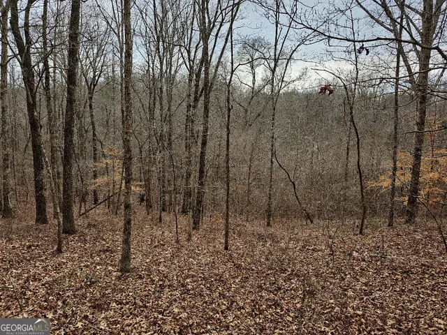 $170,850 | 0 Hutcheson Rd Off, Temple, GA 30179