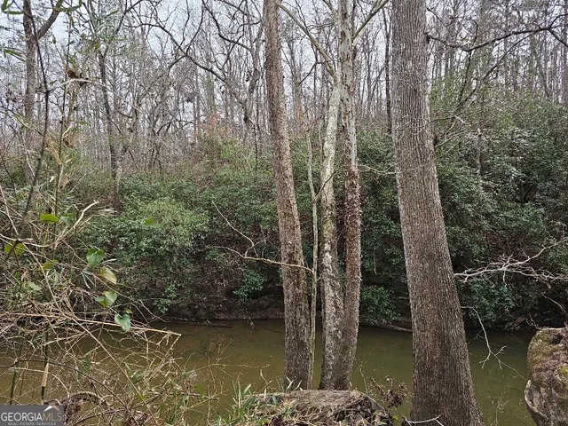 $170,850 | 0 Hutcheson Rd Off, Temple, GA 30179