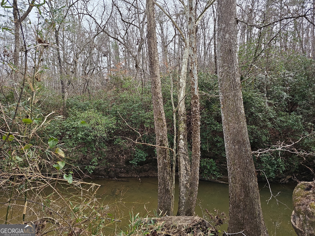 0 Hutcheson Rd Off Temple, GA 30179 - Photo 16 of 45