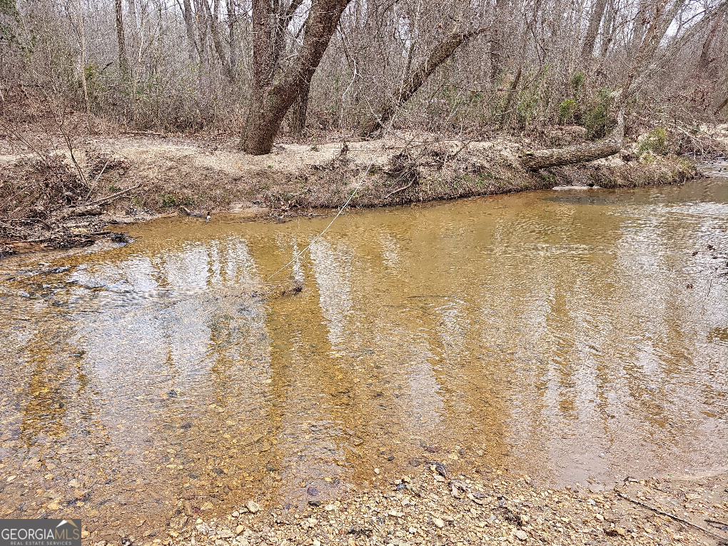 0 Hutcheson Rd Off Temple, GA 30179 - Photo 18 of 45