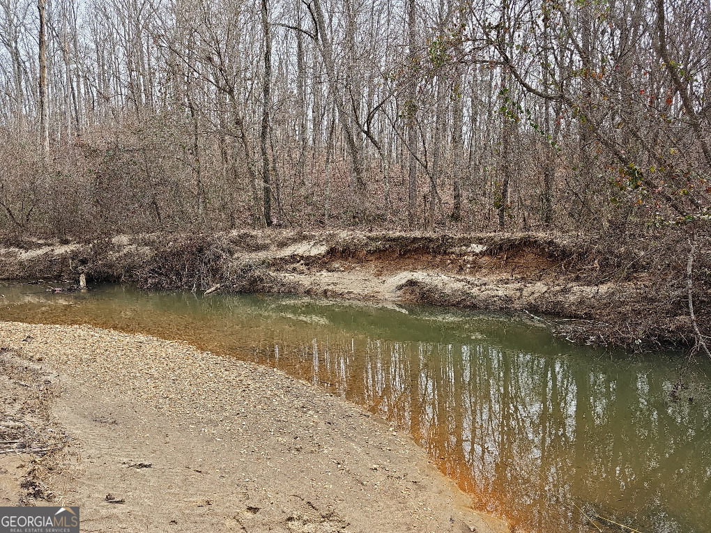 0 Hutcheson Rd Off Temple, GA 30179 - Photo 19 of 45