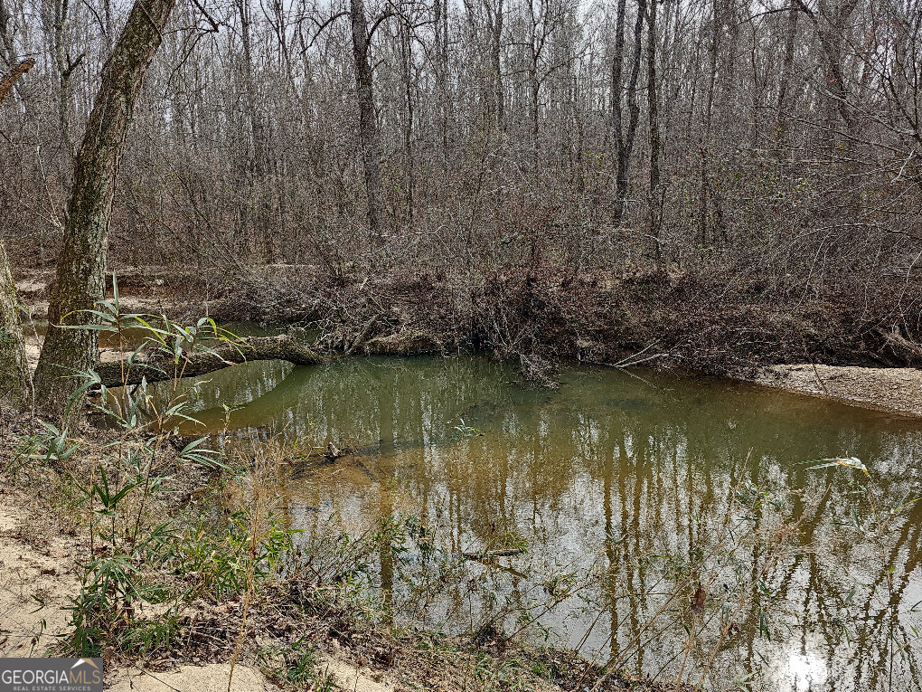 0 Hutcheson Rd Off Temple, GA 30179 - Photo 20 of 45