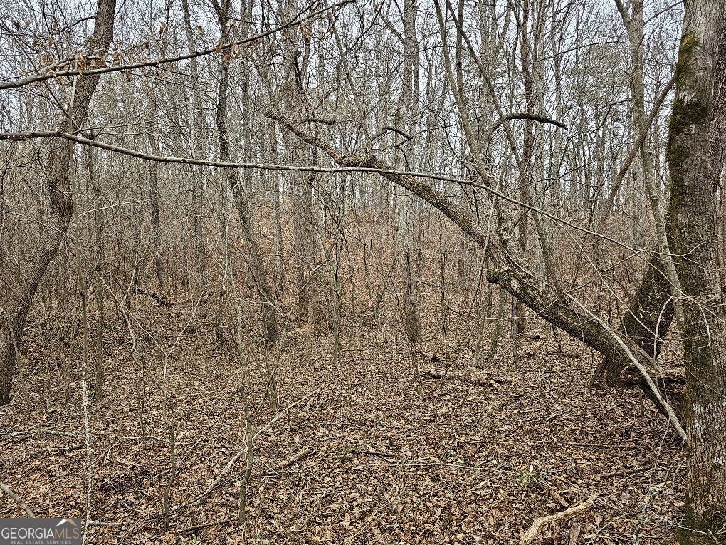 0 Hutcheson Rd Off Temple, GA 30179 - Photo 21 of 45