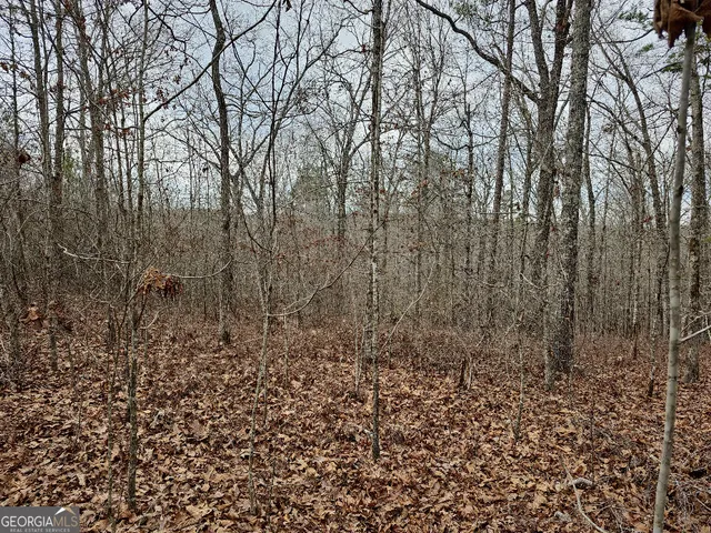 $170,850 | 0 Hutcheson Rd Off, Temple, GA 30179