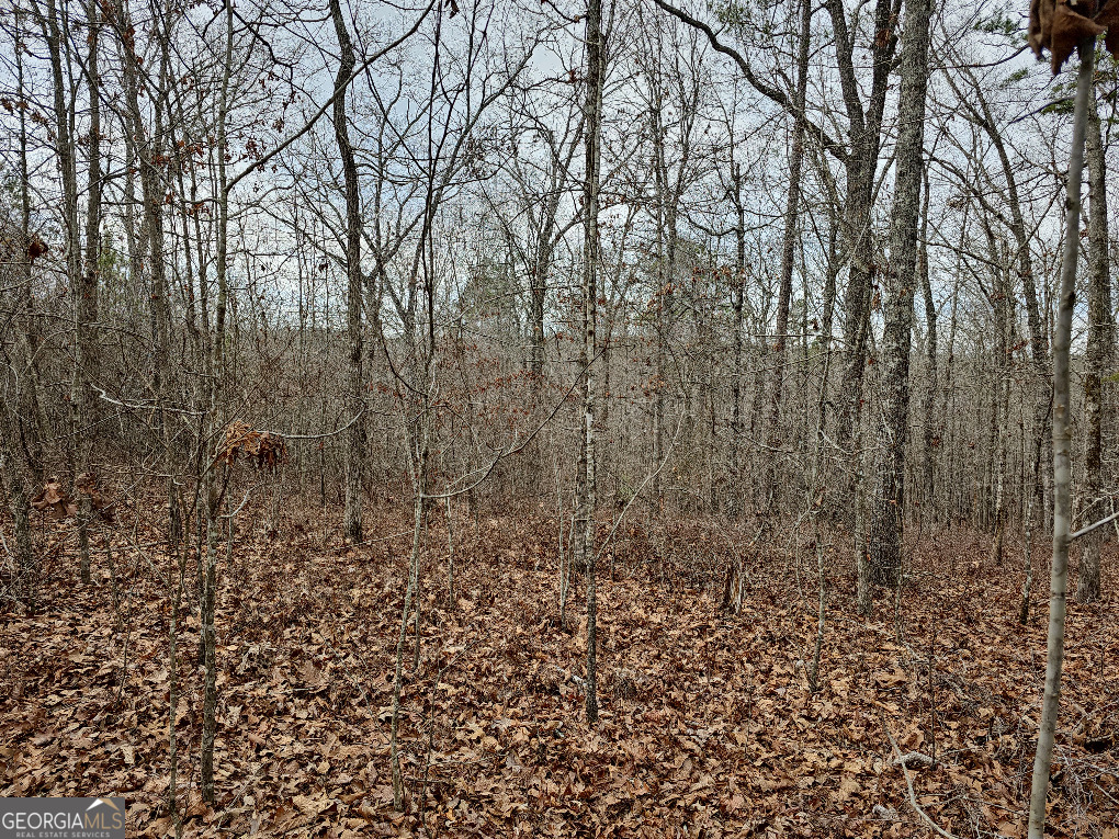 0 Hutcheson Rd Off Temple, GA 30179 - Photo 22 of 45