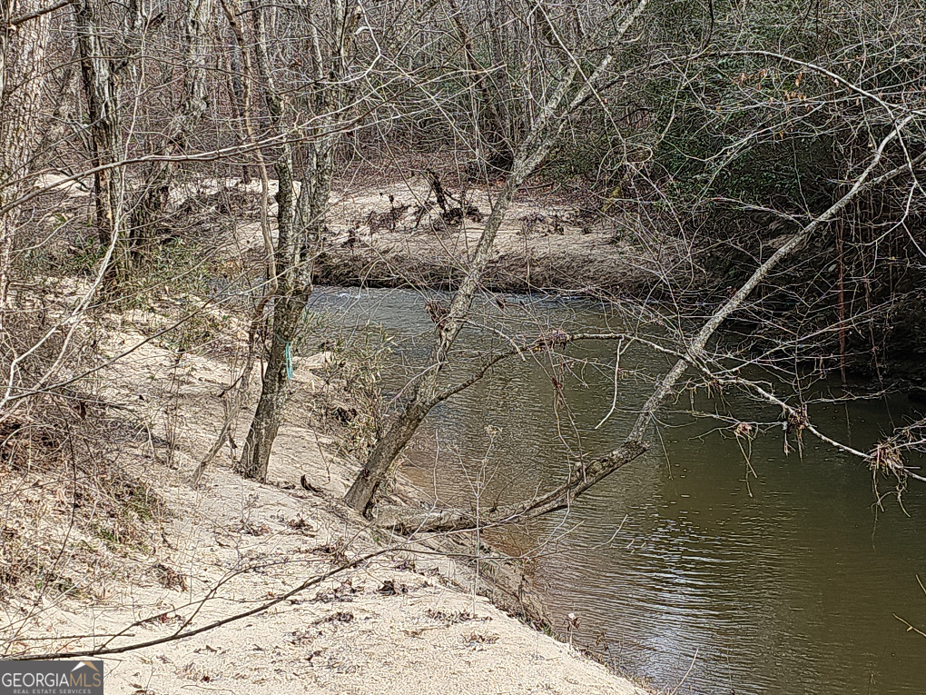 0 Hutcheson Rd Off Temple, GA 30179 - Photo 23 of 45