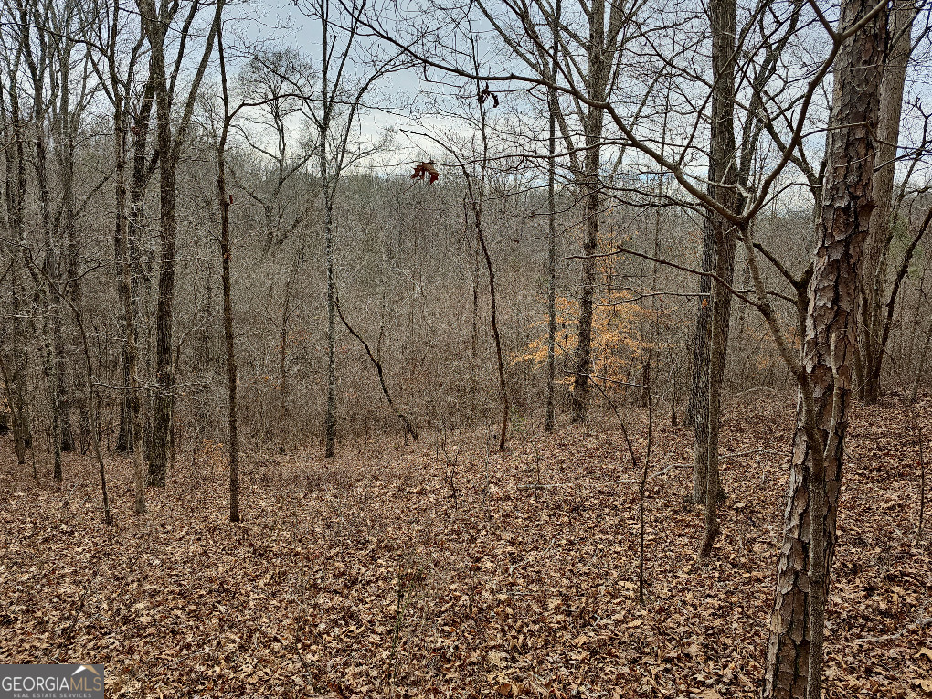 0 Hutcheson Rd Off Temple, GA 30179 - Photo 24 of 45