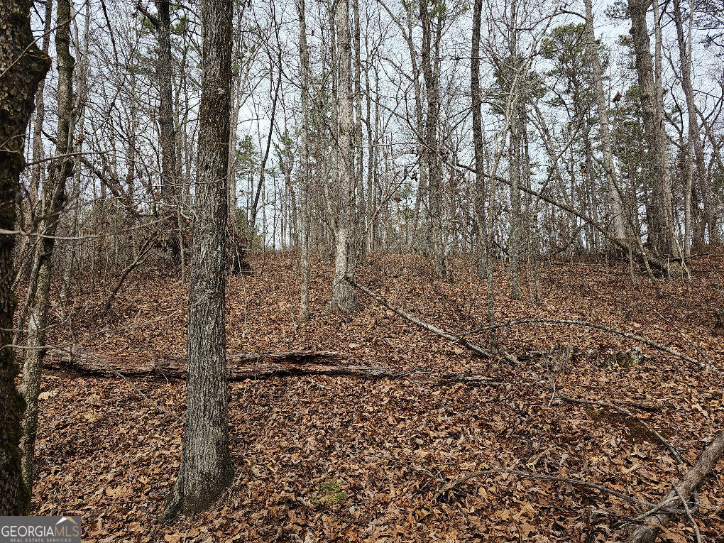 0 Hutcheson Rd Off Temple, GA 30179 - Photo 25 of 45