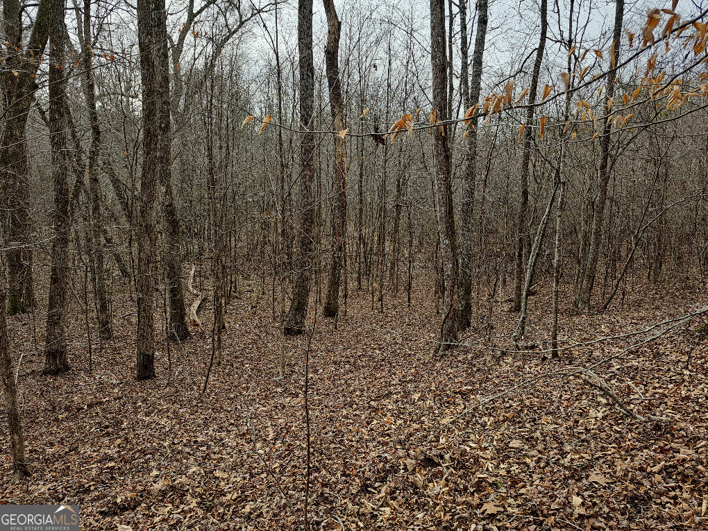 0 Hutcheson Rd Off Temple, GA 30179 - Photo 26 of 45