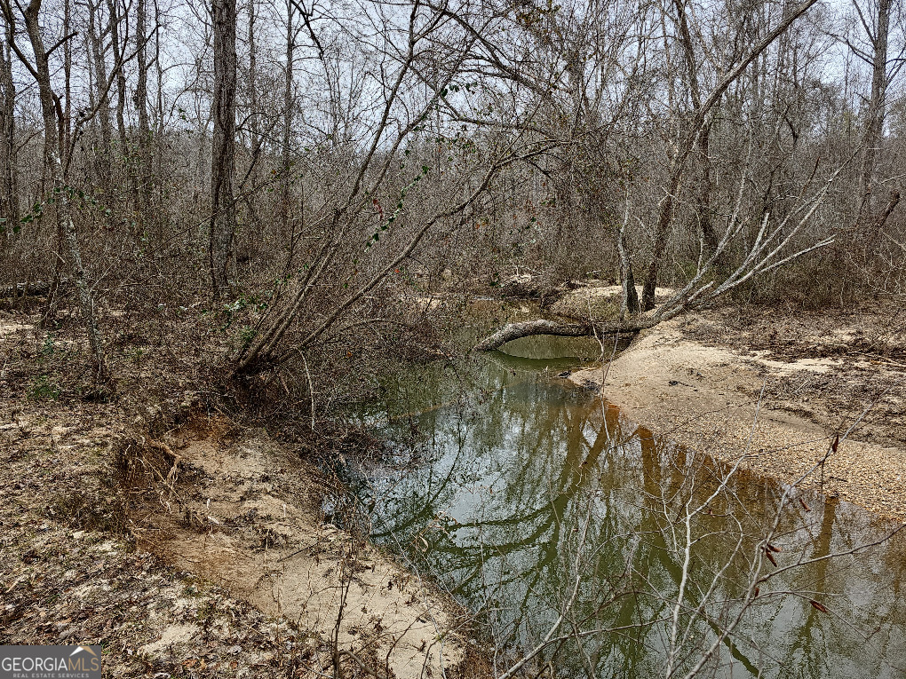 0 Hutcheson Rd Off Temple, GA 30179 - Photo 27 of 45