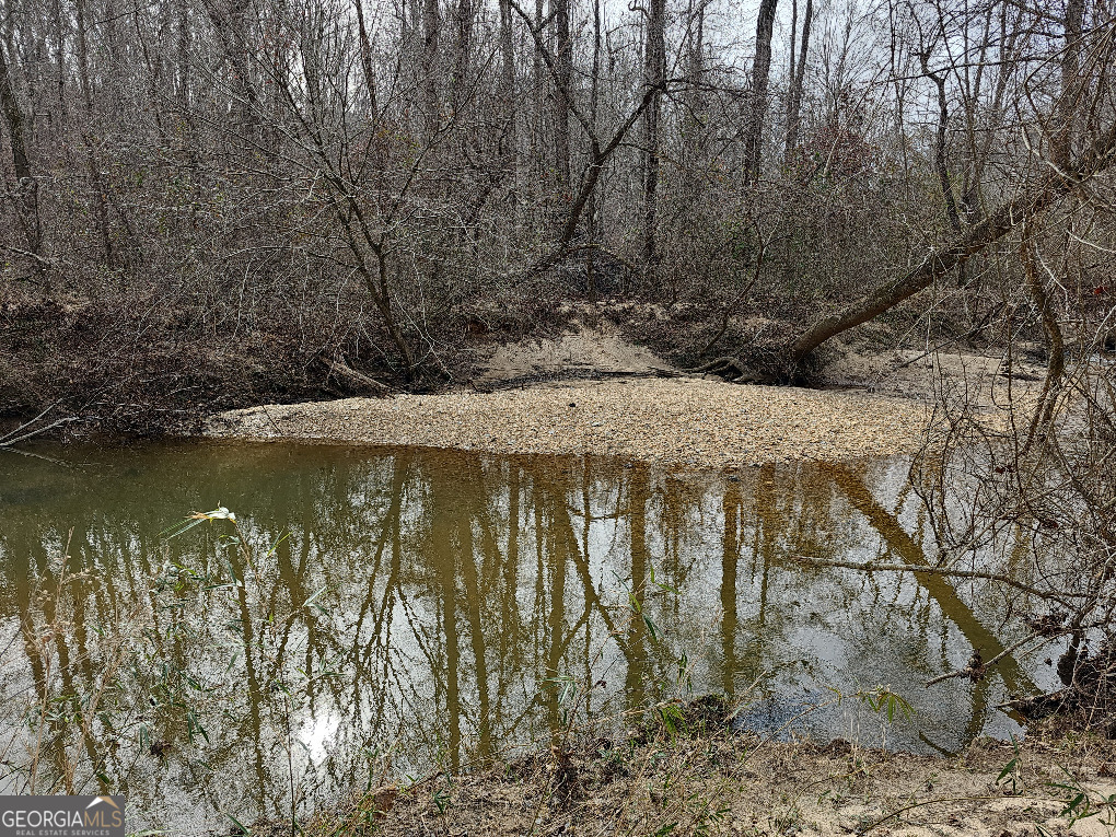 0 Hutcheson Rd Off Temple, GA 30179 - Photo 28 of 45