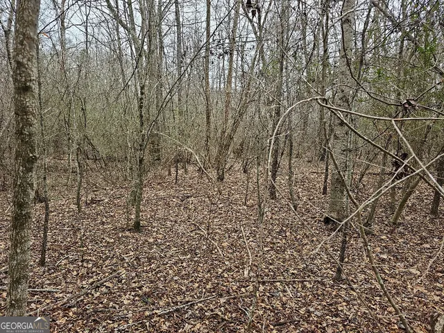 $170,850 | 0 Hutcheson Rd Off, Temple, GA 30179