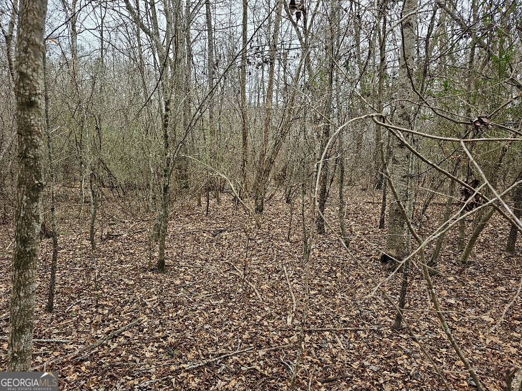 0 Hutcheson Rd Off Temple, GA 30179 - Photo 29 of 45