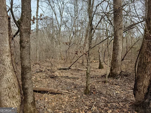 $170,850 | 0 Hutcheson Rd Off, Temple, GA 30179