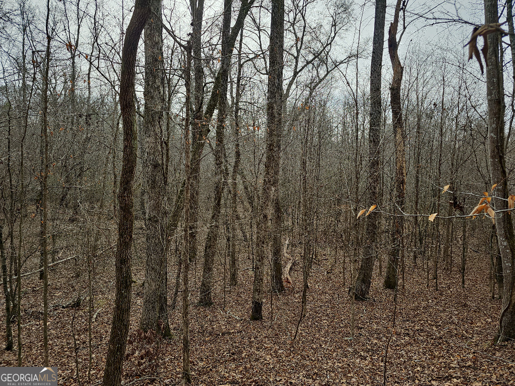 0 Hutcheson Rd Off Temple, GA 30179 - Photo 33 of 45