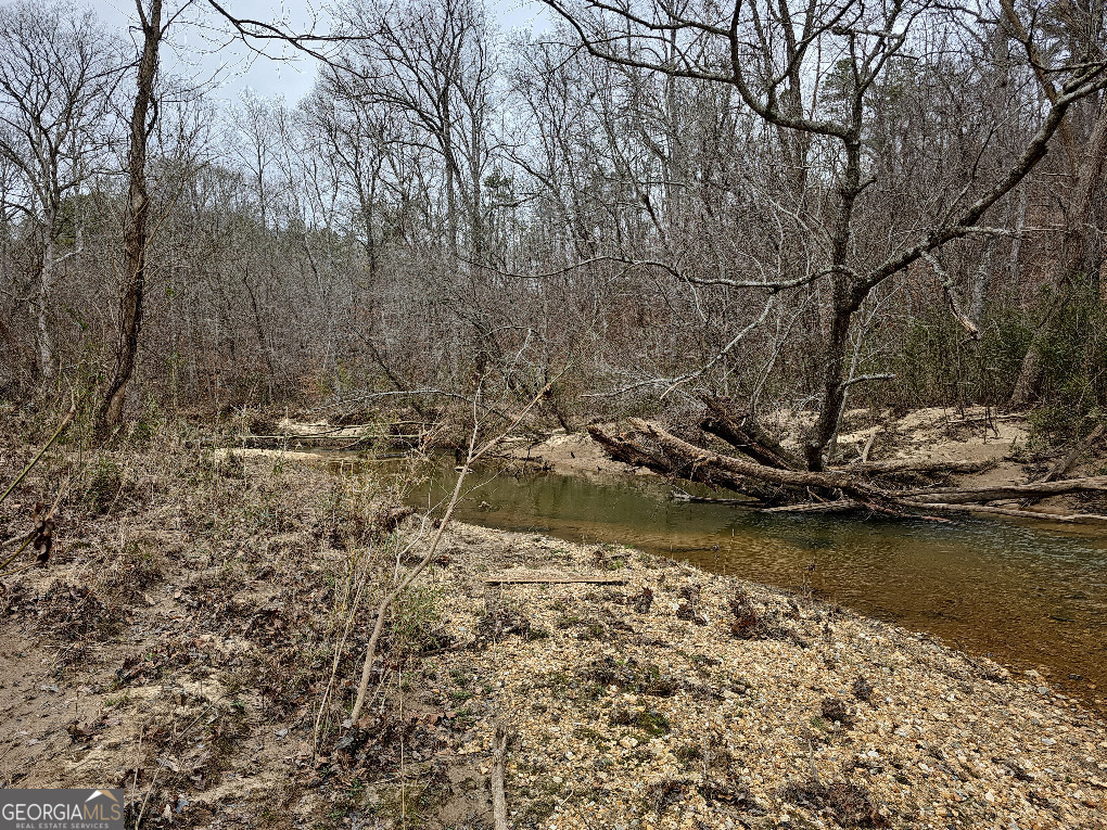 0 Hutcheson Rd Off Temple, GA 30179 - Photo 34 of 45