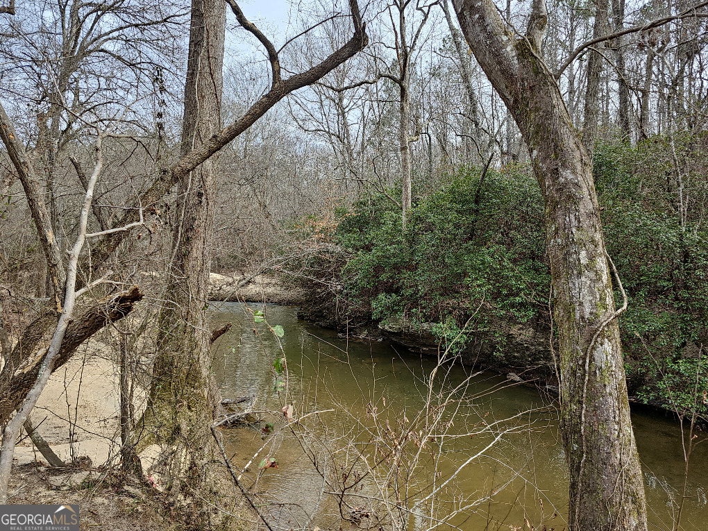 0 Hutcheson Rd Off Temple, GA 30179 - Photo 36 of 45