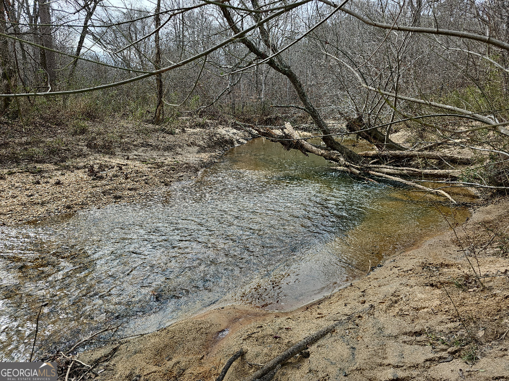 0 Hutcheson Rd Off Temple, GA 30179 - Photo 37 of 45