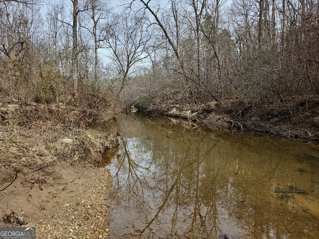 0 Hutcheson Rd Off Temple, GA 30179 - Photo 38 of 45